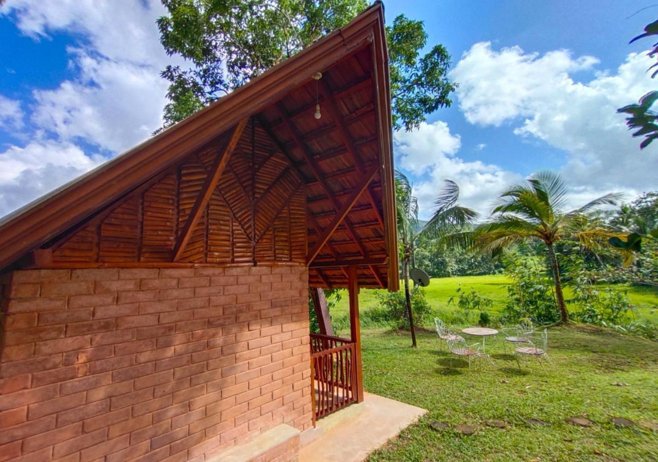 Cinnamon Village Sinharaja Deniyaya Eksteriør bilde
