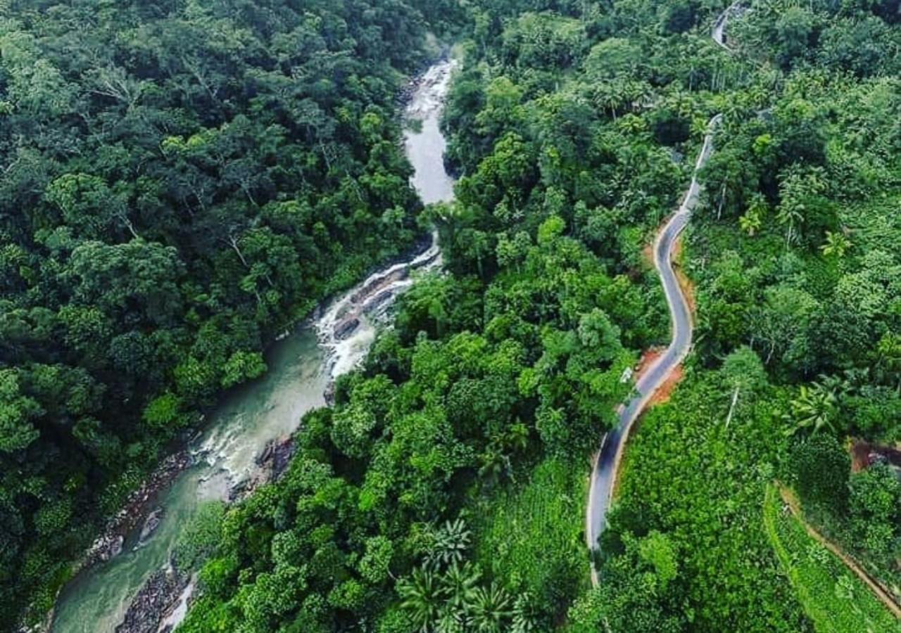 Cinnamon Village Sinharaja Deniyaya Eksteriør bilde