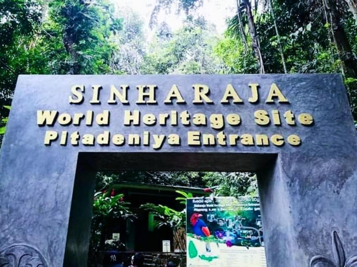 Cinnamon Village Sinharaja Deniyaya Eksteriør bilde