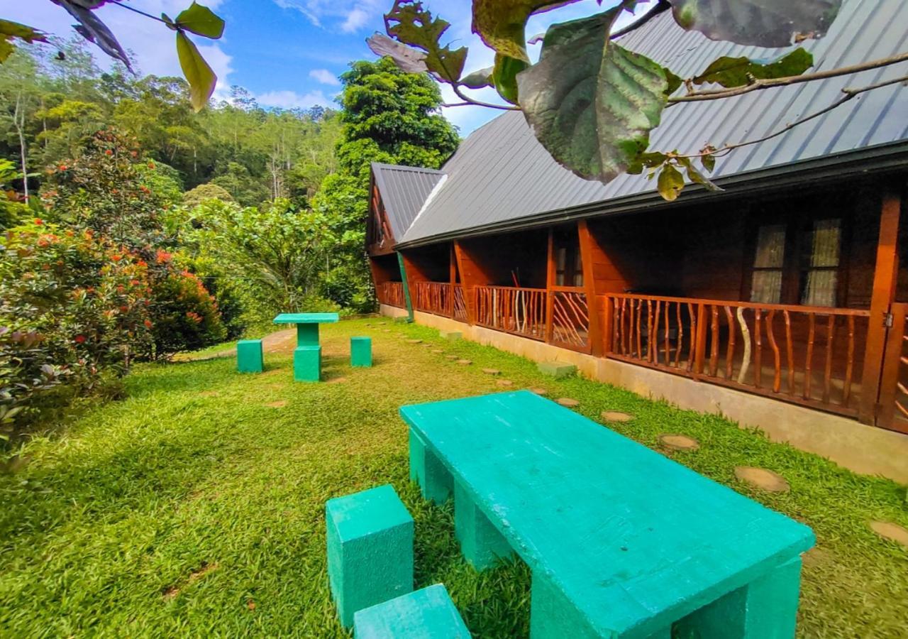 Cinnamon Village Sinharaja Deniyaya Eksteriør bilde