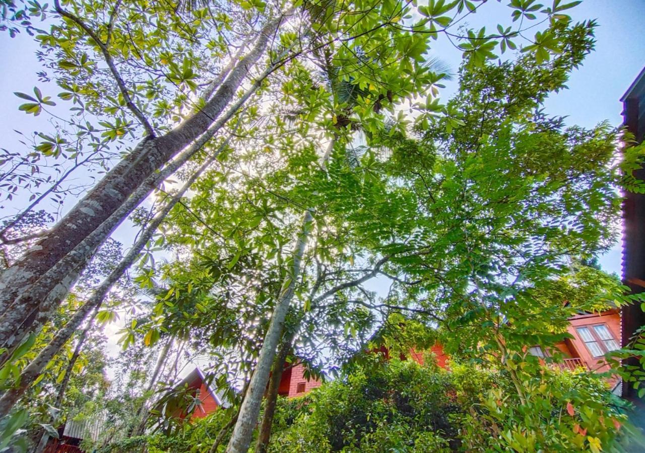 Cinnamon Village Sinharaja Deniyaya Eksteriør bilde