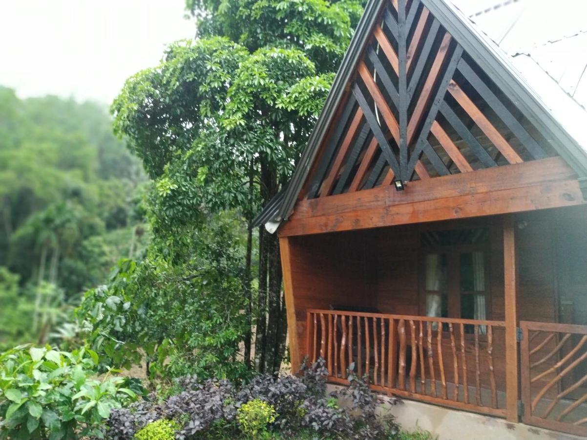 Cinnamon Village Sinharaja Deniyaya Eksteriør bilde